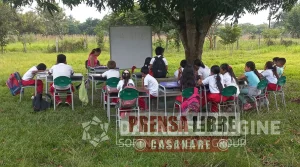 Estudiantes de la vereda La Macolla de Pore reciben clases bajo un árbol ante el colapso de la escuela