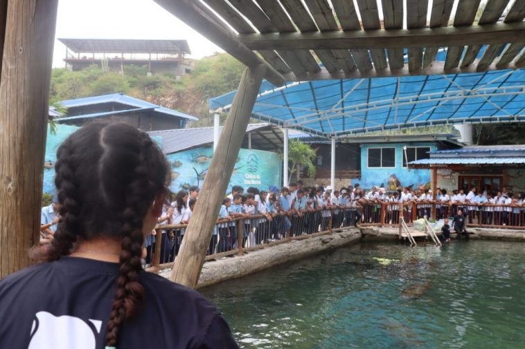 Estudiantes disfrutaron y aprendieron sobre la conservación de los ecosistemas marinos en el Centro de Vida Marina