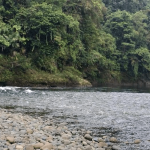 Grave accidente en lancha dejó a una joven y a un recién nacido desaparecidos en Ricaurte, Nariño