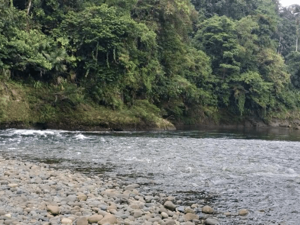 Grave accidente en lancha dejó a una joven y a un recién nacido desaparecidos en Ricaurte, Nariño