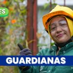 “Guardianas de las Laderas”: Un programa que da empleo a 80 mujeres en Manizales y previene desastres