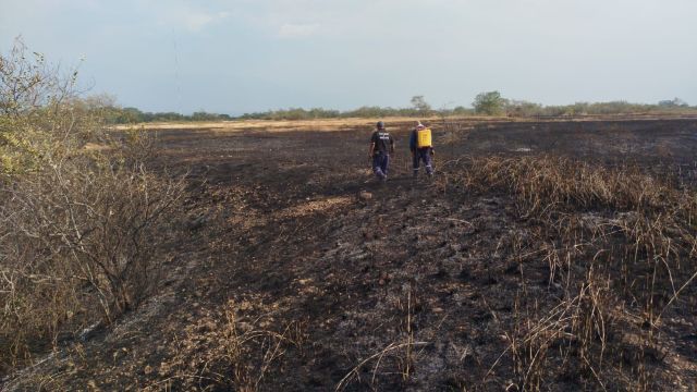 Huila en alerta roja por incendios forestales.