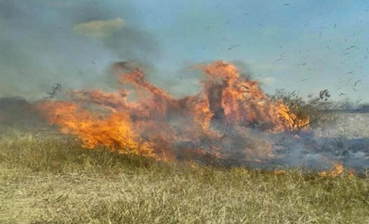 Incendios forestales