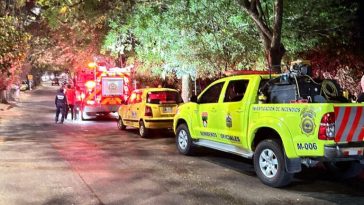 Incendios forestales siguen generando emergencias en Neiva