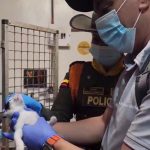 Operativo contra maltrato animal en La Minorista