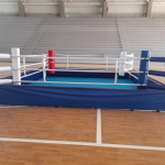 Jóvenes pugilistas de la Escuela Talentos Colombia competirán en Cereté