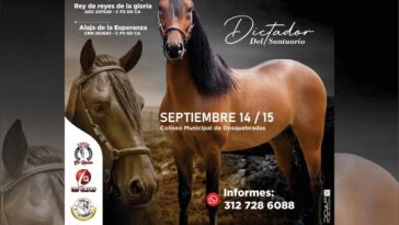 Llega al municipio de Dosquebradas la Feria Equina Grado B