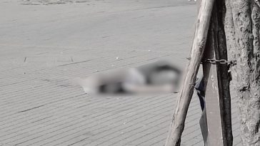 Nuevos detalles del asesinato de 2 bicitaxistas en Bosa: otra persona quedó herida Sicarios acabaron con la vida de 2 ciudadanos venezolanos que se encontraban junto a un bicitaxi en la localidad de Bosa. Q'HUBO conoció los detalles de este crimen cometido a plena luz del día.