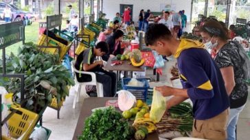 Preparan mercado campesino y feria del emprendimiento en Palestina 