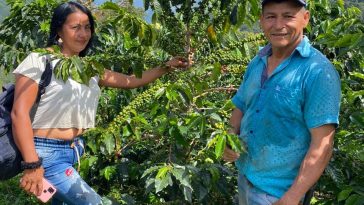 Primera Sentencia De Restitución En Bochalema, Norte De Santander, Ampara Familia Que Perdió Tierras Hace 21 Años