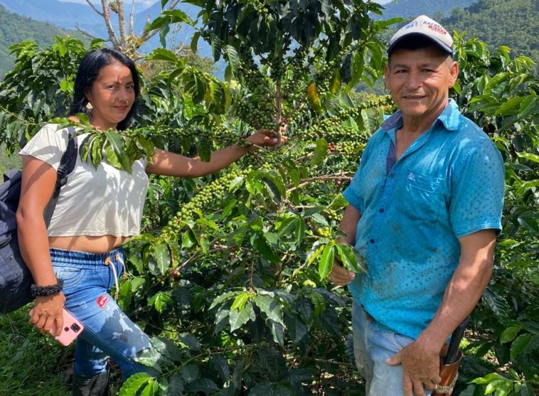 Primera Sentencia De Restitución En Bochalema, Norte De Santander, Ampara Familia Que Perdió Tierras Hace 21 Años