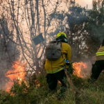 Incendio forestal