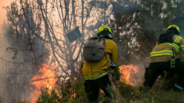 Incendio forestal