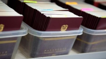 Pasaportes referencia 2024