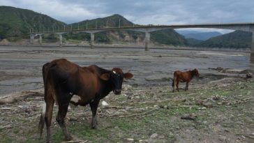 ¿A qué viene Petro este viernes al Huila? 1 18 septiembre, 2024