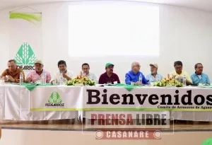 Asambleas de arroceros y feria Expoarroz en Aguazul y Yopal