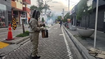 Ataque de abejas en el centro de Neiva dejó seis personas afectadas