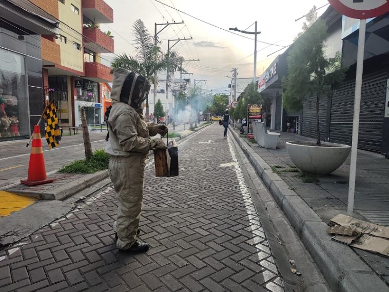 Ataque de abejas en el centro de Neiva dejó seis personas afectadas