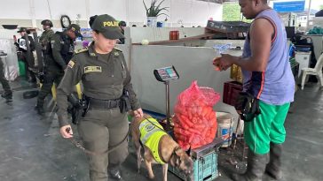 Autoridades intervienen el Mercado Público para combatir la inseguridad