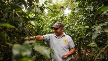 Banco de Bogotá impulsa la inclusión financiera de los caficultores