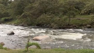 Cali contará con Museo del Agua para educación ambiental: estará ubicado en el famoso ecoparque de la ciudad