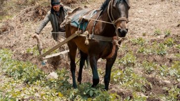 Campesinos de Colombia protestan.