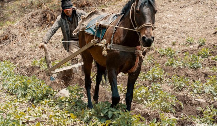 Campesinos de Colombia protestan.