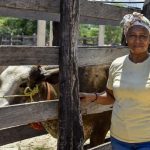 50 familias de La Guajira han sido beneficiadas gracias a la colaboración entre Fundagan y Cerrejón. Este proyecto refleja el poder del trabajo conjunto entre el sector privado y organizaciones sociales. Será una vaca para cada familia.