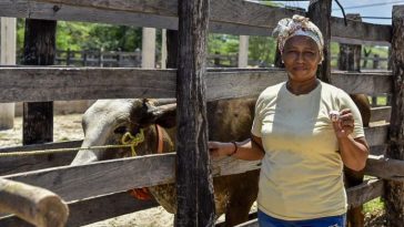 50 familias de La Guajira han sido beneficiadas gracias a la colaboración entre Fundagan y Cerrejón. Este proyecto refleja el poder del trabajo conjunto entre el sector privado y organizaciones sociales. Será una vaca para cada familia.