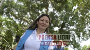 Consejo de Estado declaró la nulidad de la elección de Doris Bernal Cárdenas como directora de Corporinoquia