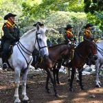 Esta es la ceremonia que premia a los mejores policías del país La Fundación Corazón Verde celebró recientemente la vigésima cuarta entrega del Premio Corazón Verde al Mejor Policía de Colombia, un reconocimiento que ha estado vigente durante más de 20 años.