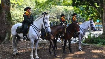 Esta es la ceremonia que premia a los mejores policías del país La Fundación Corazón Verde celebró recientemente la vigésima cuarta entrega del Premio Corazón Verde al Mejor Policía de Colombia, un reconocimiento que ha estado vigente durante más de 20 años.