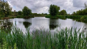 Intervendrán con labores una reserva ambiental en Elías 