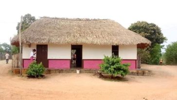 Las tradicionales casas de palmas, una cultura hecha historia en Córdoba