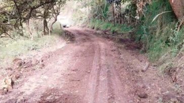 Carretera rural