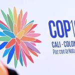 COP16, evento ambiental que se desarrolla en Cali.