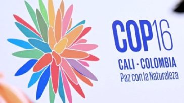 COP16, evento ambiental que se desarrolla en Cali.