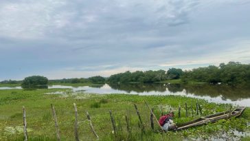 Reducirán impacto de inundaciones con soluciones basadas en naturaleza