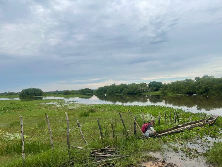 Reducirán impacto de inundaciones con soluciones basadas en naturaleza