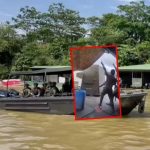 Revelan angustiante momento en el que embarcación de la Armada fue atacada con drones: «Mueva el bote, está encima de nosotros»