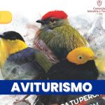 ¡Inicia la cuenta regresiva para el 12º Congreso de Aviturismo de Caldas!