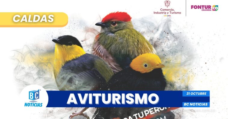 ¡Inicia la cuenta regresiva para el 12º Congreso de Aviturismo de Caldas!