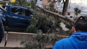 Árbol caído bloquea la calle 13 en la vía Mosquera-Bogotá y afecta a varios vehículos y un ciclista