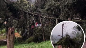 Árbol caído en zona rural de Facatativá pone en riesgo a la comunidad