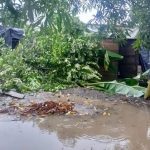 Una de las zonas afectadas por las inundaciones.