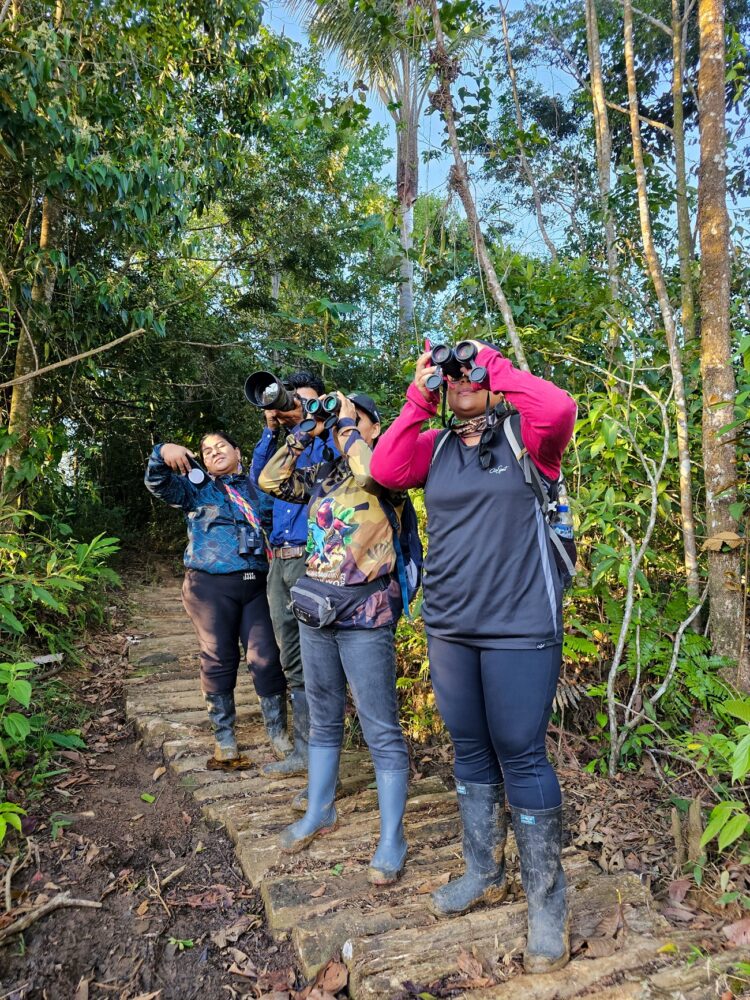 Avianca Junto A Wildlife Conservation Society (WCS) Impulsan La Protección De Aves Migratorias Y Residentes En El Putumayo