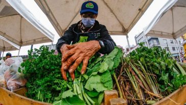 Mercados solidarios