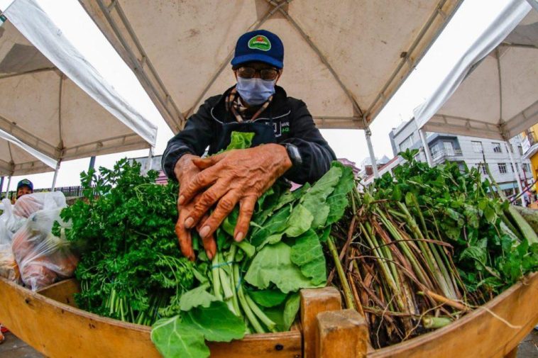 Mercados solidarios