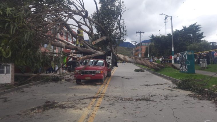 Bomberos atienden la caída de un árbol en el sur de Bogotá Un árbol cayó sobre una camioneta en el barrio Bochica, localidad Rafael Uribe Uribe, dejando al sector sin energía y bloqueando la vía.