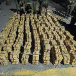 Cayó cargamento de 745 kilos de marihuana en Paicol, Huila